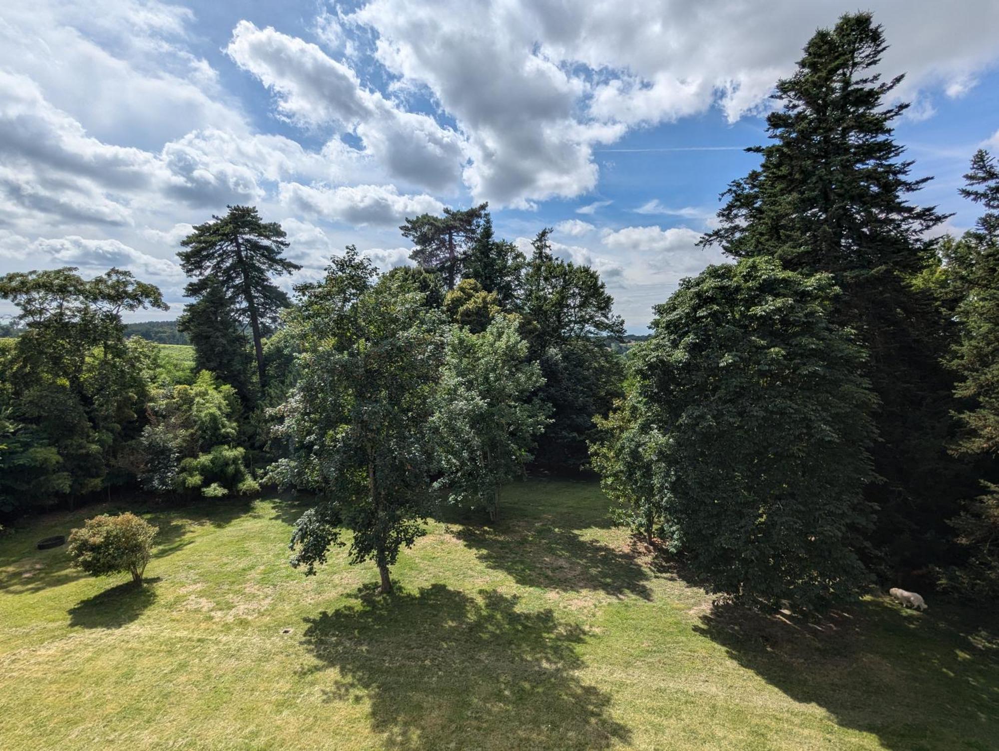 Domaine Du Faure Bed & Breakfast Chadurie Exterior foto